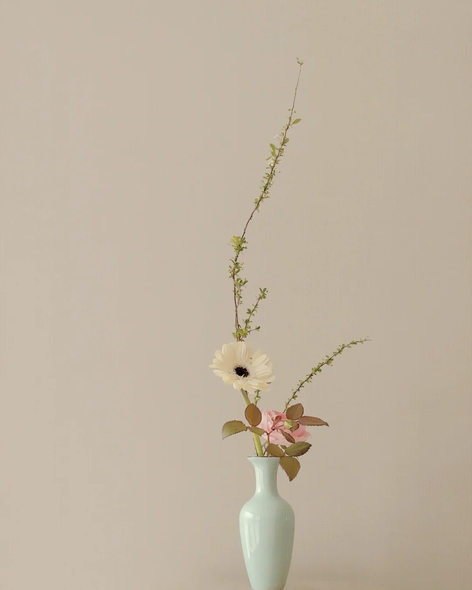 Celadon vase variation