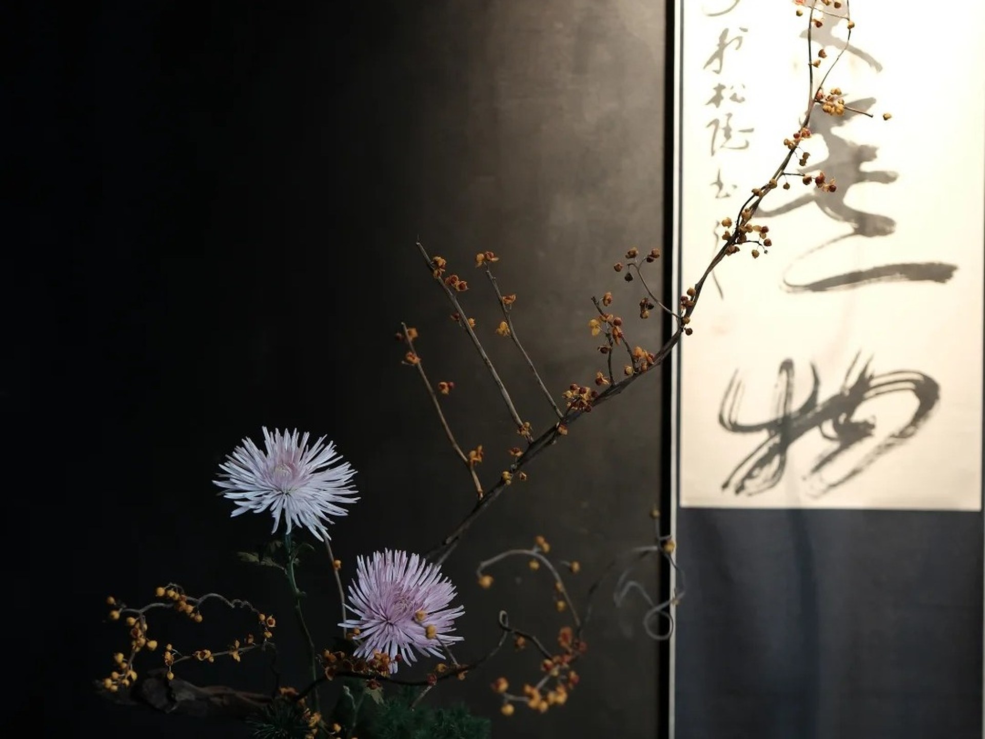 Celadon exhibition